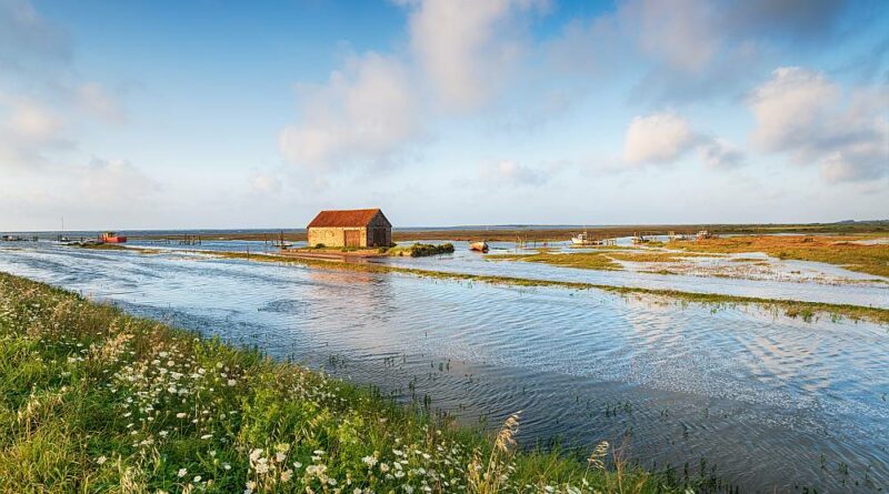 Wyciek niewidoczny gołym okiem: metody akustyczne i korelacyjne w wykrywaniu strat